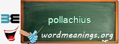 WordMeaning blackboard for pollachius